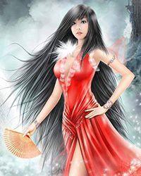 医流女婿