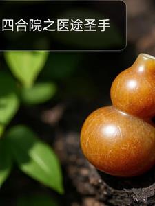 四合院之医途圣手森林里的啄木鸟全文免费阅读